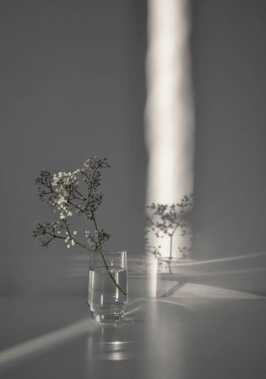 Quadro Flower Branch in a Magic Sunbeam - Obrah | Quadros e Posters para Transformar a Parede