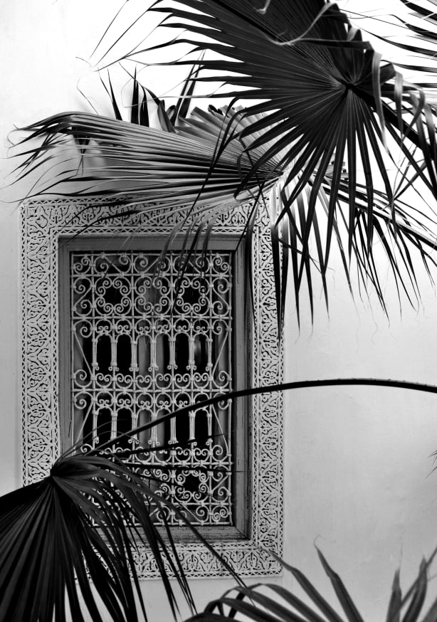 Quadro Orient Palms Garden Dreams Black & White Ed - Obrah | Quadros e Posters para Transformar a Parede
