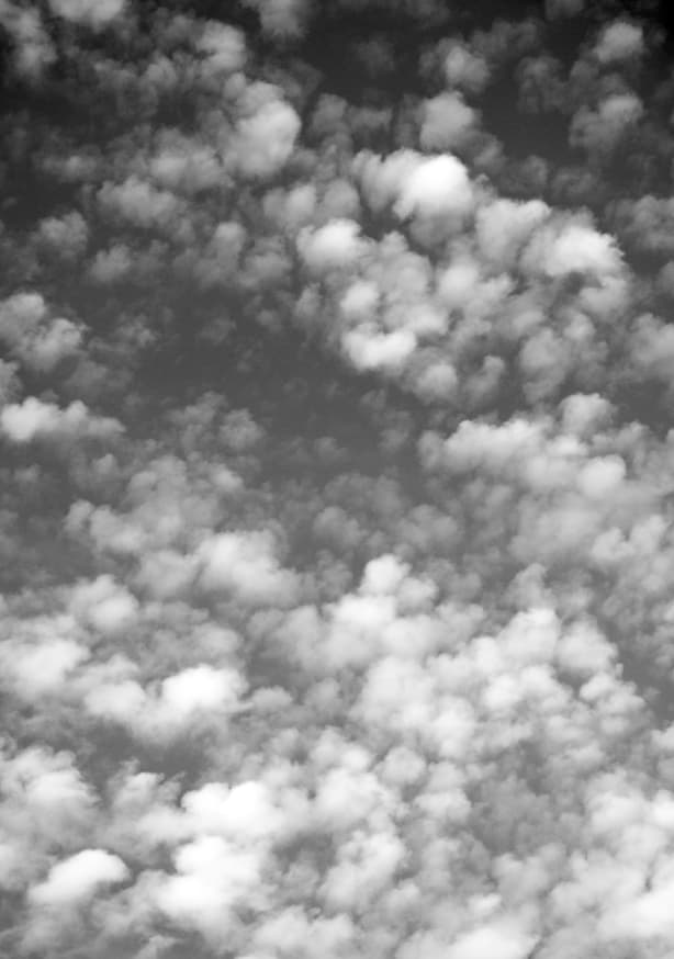 Quadro Sky, Clouds and Counting Sheep - Obrah | Quadros e Posters para Transformar a Parede