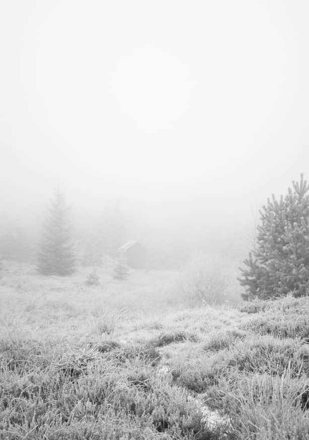 Quadro The House in the Forest Kopie - Obrah | Quadros e Posters para Transformar a Parede