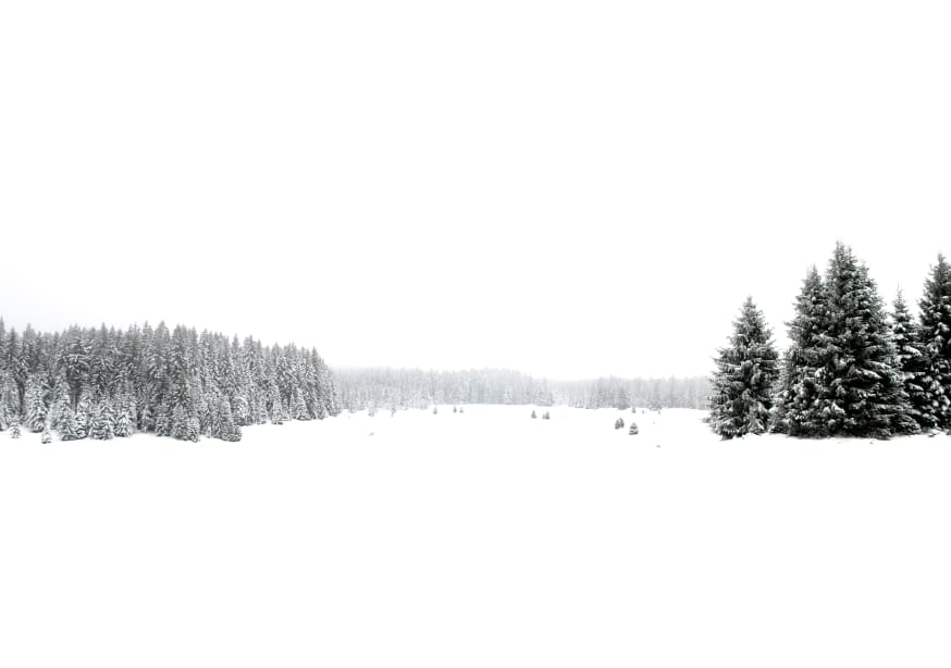 Quadro White White Winter