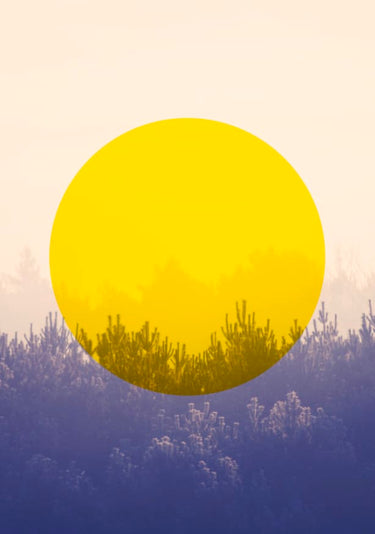 Quadro Sun Is Up - Obrah | Quadros e Posters para Transformar a Parede