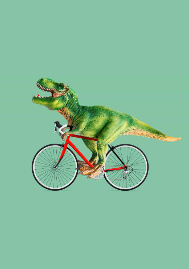 Quadro T-rex Bike - Obrah | Quadros e Posters para Transformar a Parede