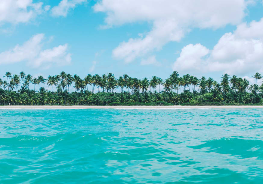 Quadro The Sea and the Coconut Grove - Obrah | Quadros e Posters para Transformar a Parede