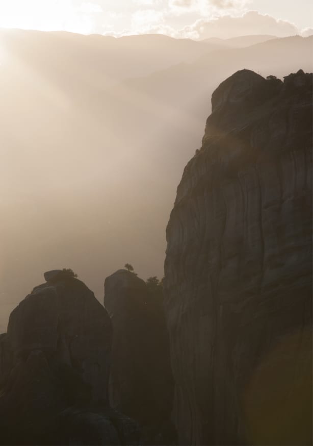 Quadro The Tiny Strong Tree - Obrah | Quadros e Posters para Transformar a Parede