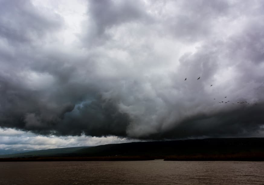 Quadro The Hula Valley #1 - Obrah | Quadros e Posters para Transformar a Parede