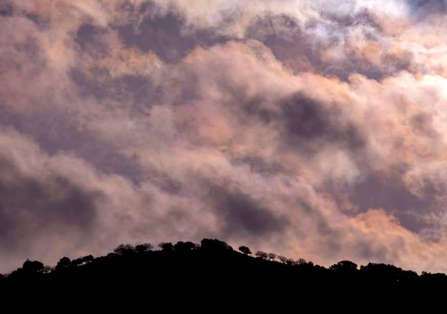 Quadro The Hula Valley #8 - Obrah | Quadros e Posters para Transformar a Parede