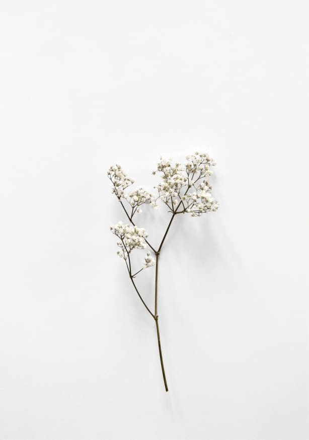Quadro White Beauty 2