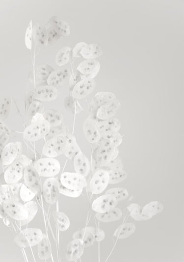 Quadro White Confetti Flowers - Obrah | Quadros e Posters para Transformar a Parede