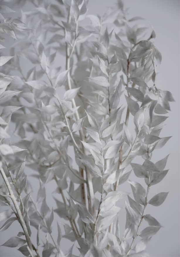 Quadro White Sunny Leafs