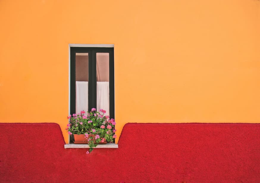 Quadro Window Flower By Rolf Endermann - Obrah | Quadros e Posters para Transformar a Parede