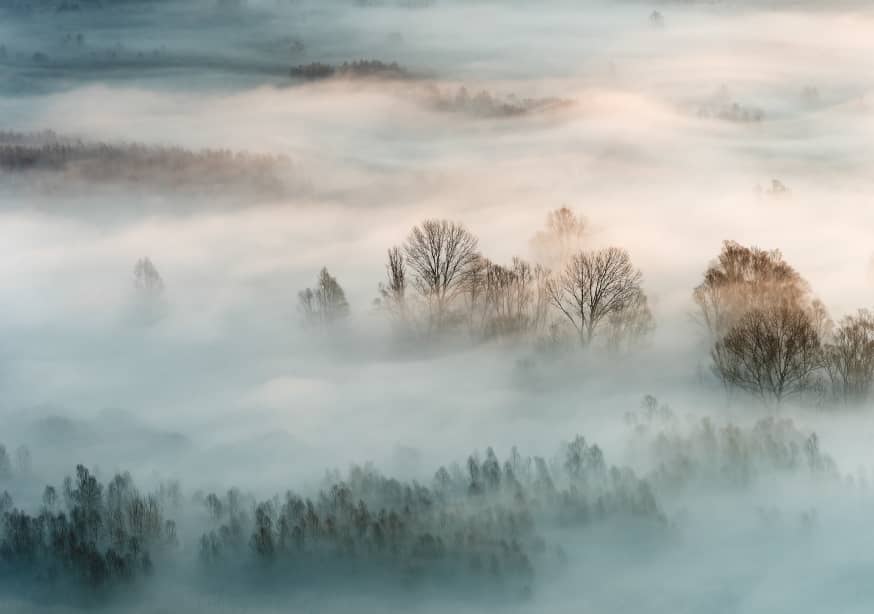 Quadro Winter Fog by Marco Galimberti - Obrah | Quadros e Posters para Transformar a Parede
