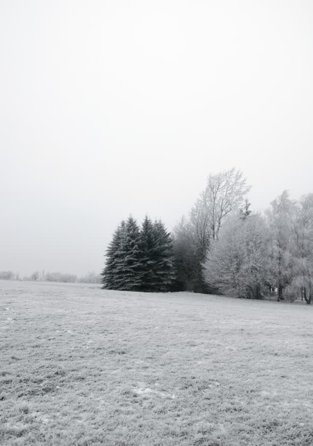 Quadro Winter Wonderland