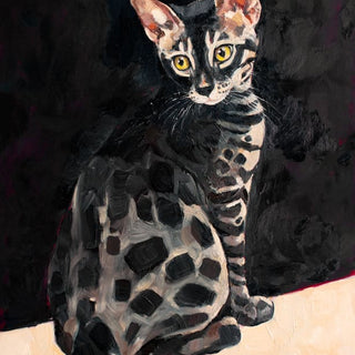 Animais