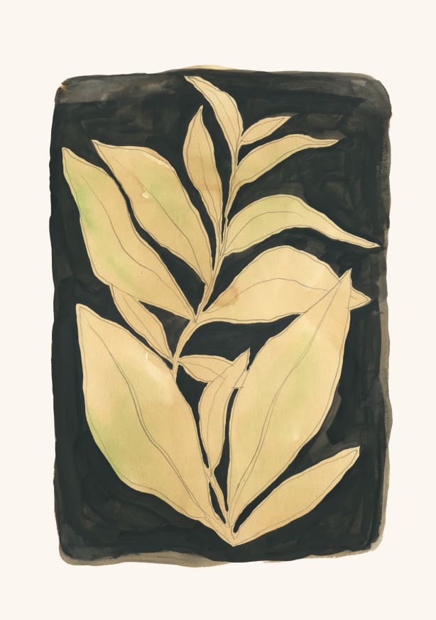 Quadro Foliage noir N.2 by Catalina Somolinos