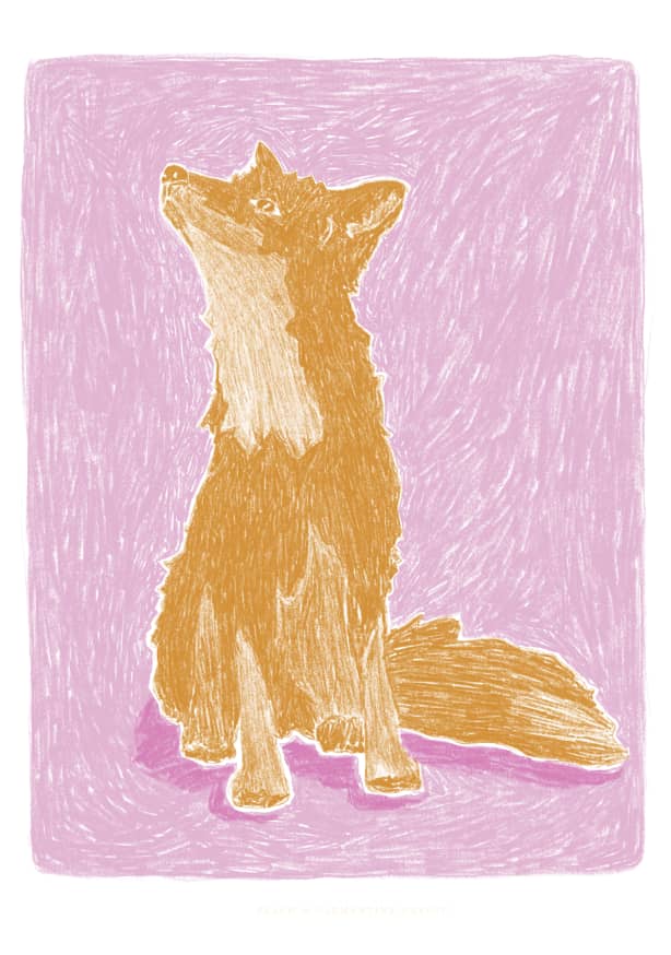 Quadro Pandc Littlefox