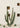 Quadro Cabo Cactus Ix By Bethany Young