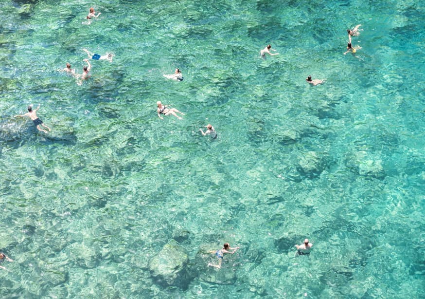Quadro Swimming In The Sea