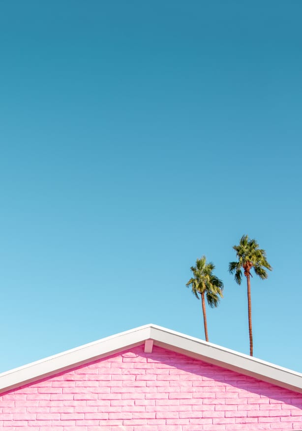 Quadro Pink Roofline With Palm Trees