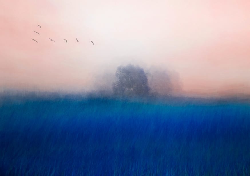Quadro The Tree On The Blue By Chung Gook