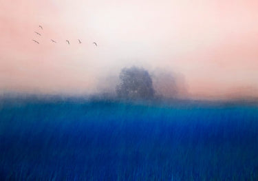 Quadro The Tree On The Blue By Chung Gook