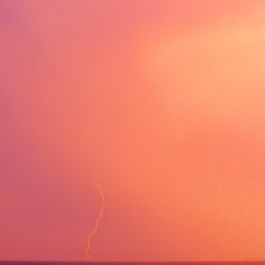 Imagem padrão da coleção New In