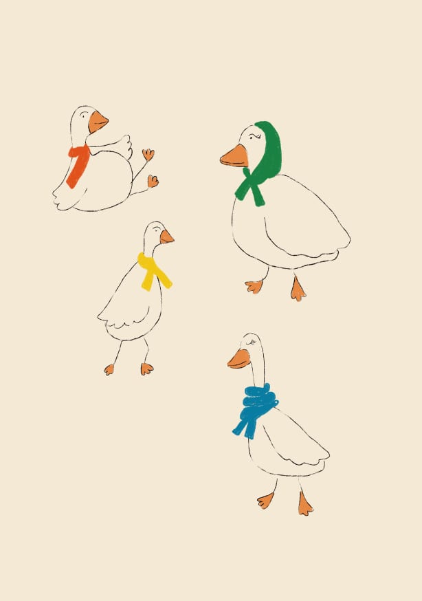 Quadro Ducks Adorned In Colorful Scarves By Anna Mielniczuk