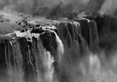 Quadro Demonstration of Power by Zan Zhang