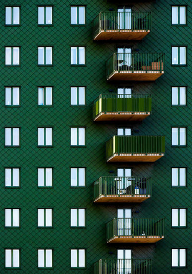 Quadro Snaky by Marius Surleac