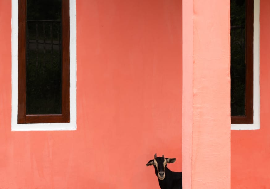 Quadro The Unexpected Visitor