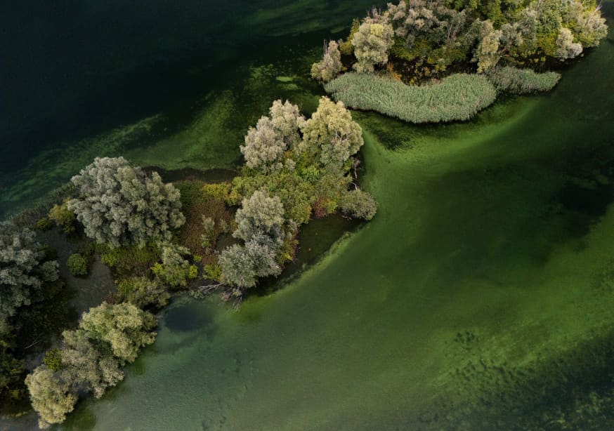 Quadro Rhein At Stein Am Rhein by Streiff Marcel