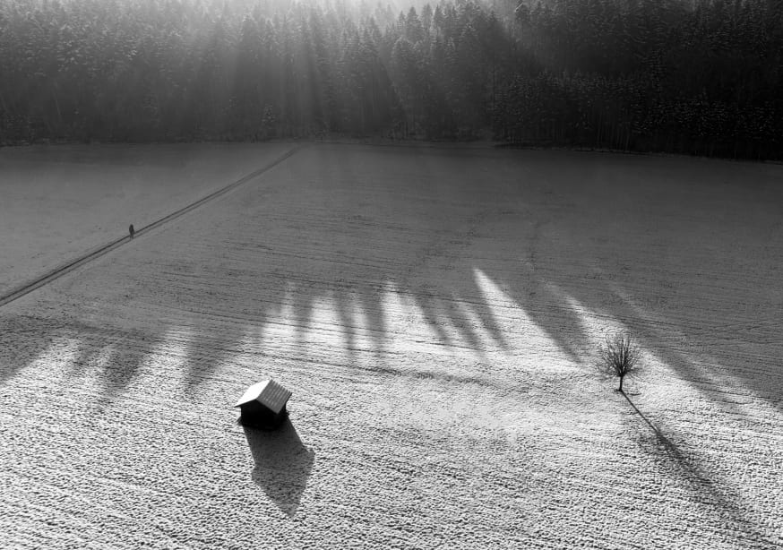 Quadro Long Shadows II by Streiff Marcel