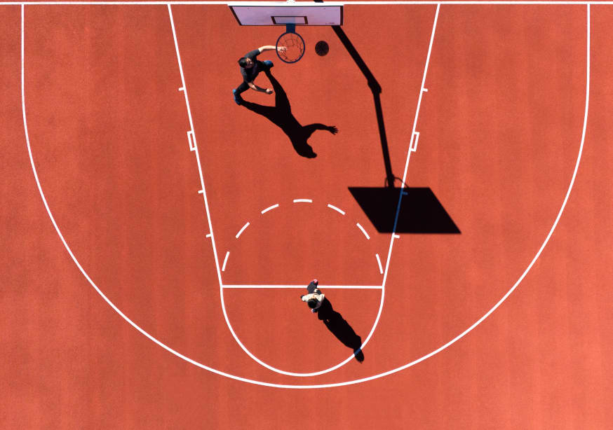 Quadro Inverted Puma by Streiff Marcel