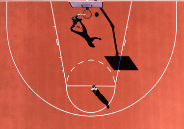 Quadro Inverted Puma by Streiff Marcel