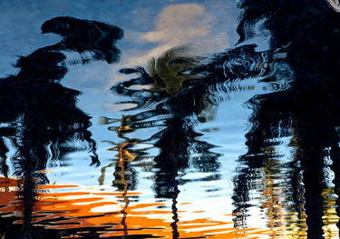 Quadro Palm Reflections by Tim Mossholder
