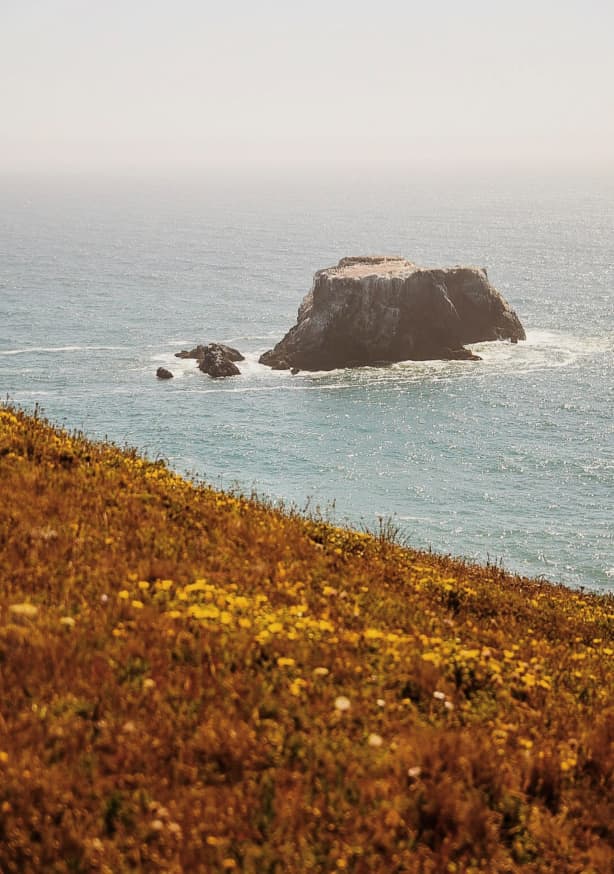 Quadro Coastal Rock in Bodega Bay by Del Mundo Portraits