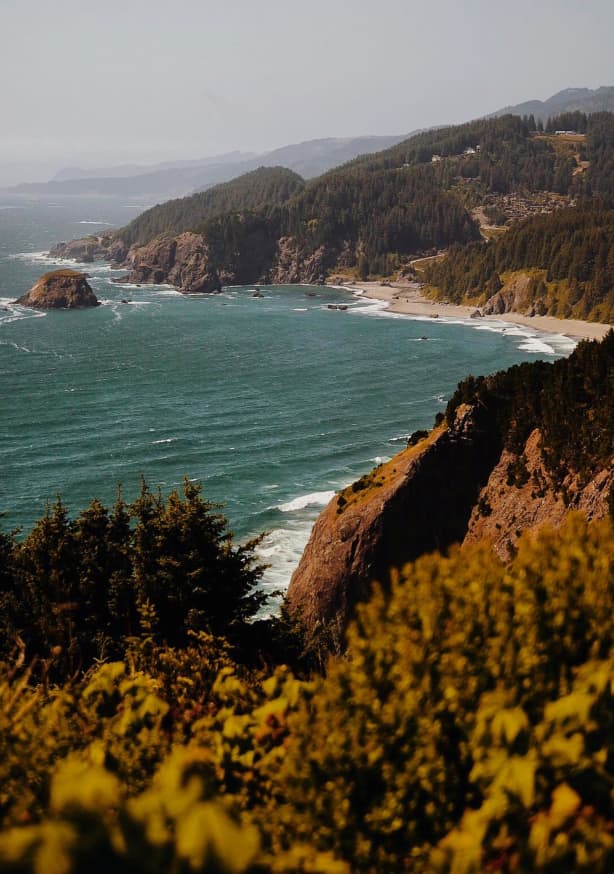 Quadro Drink the Wild Air II by Del Mundo Portraits