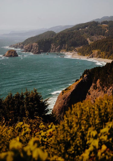 Quadro Drink the Wild Air II by Del Mundo Portraits