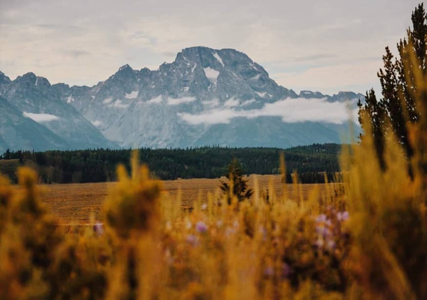 Quadro Moody Mount Moran by Del Mundo Portraits