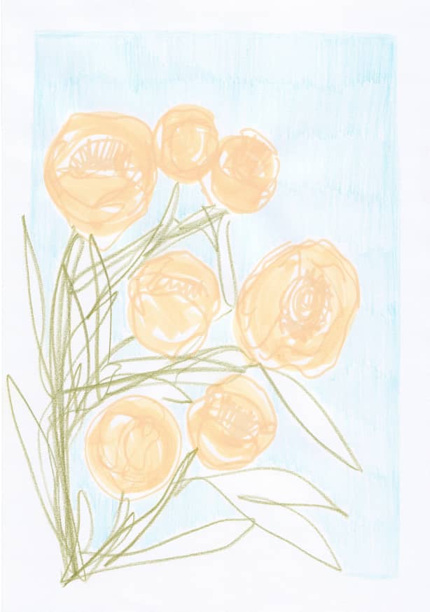 Quadro Peonies