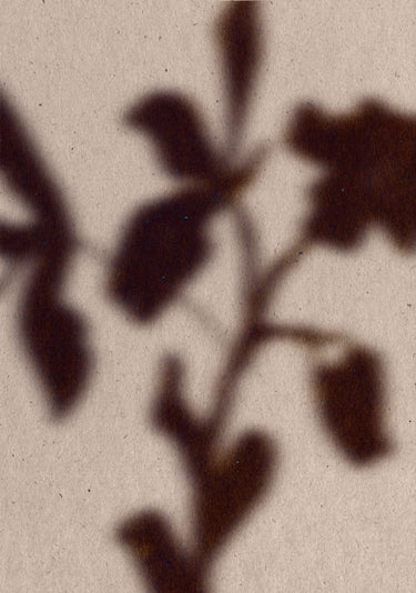 Soft Leaf Shadows