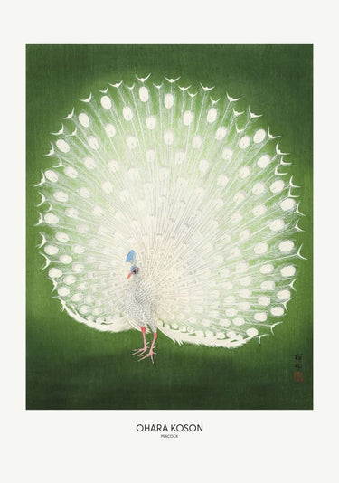 Quadro Peacock Wide By 1x Studio