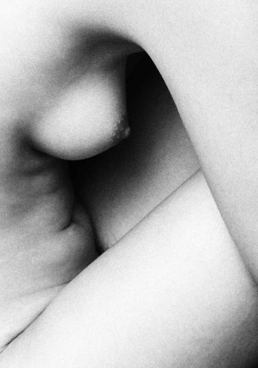 Quadro Shapes By David Mccracken