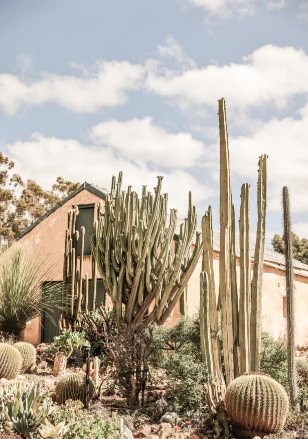 Quadro Karoo Garden