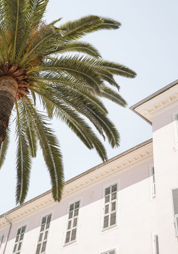 Quadro Tropical Menton