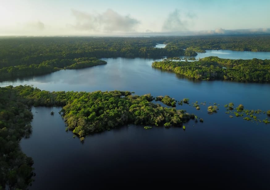 Quadro Amazônia I