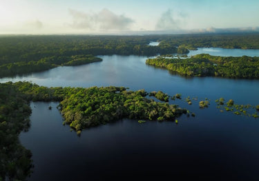 Quadro Amazônia I
