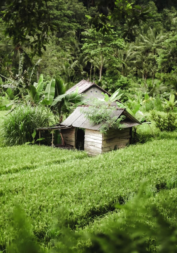 Quadro Verde Infinito