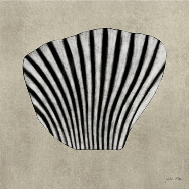 Quadro Sea Shell