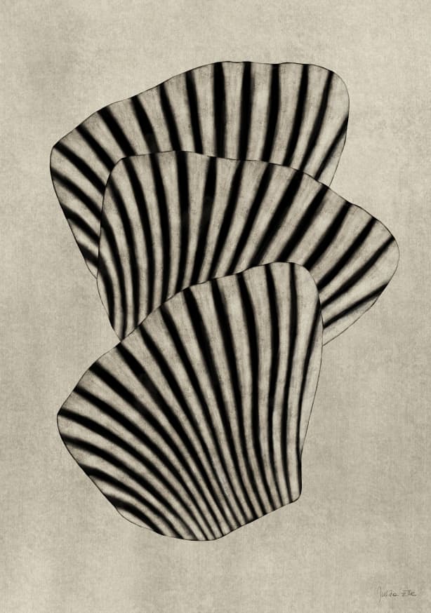 Quadro Sea Shells 01